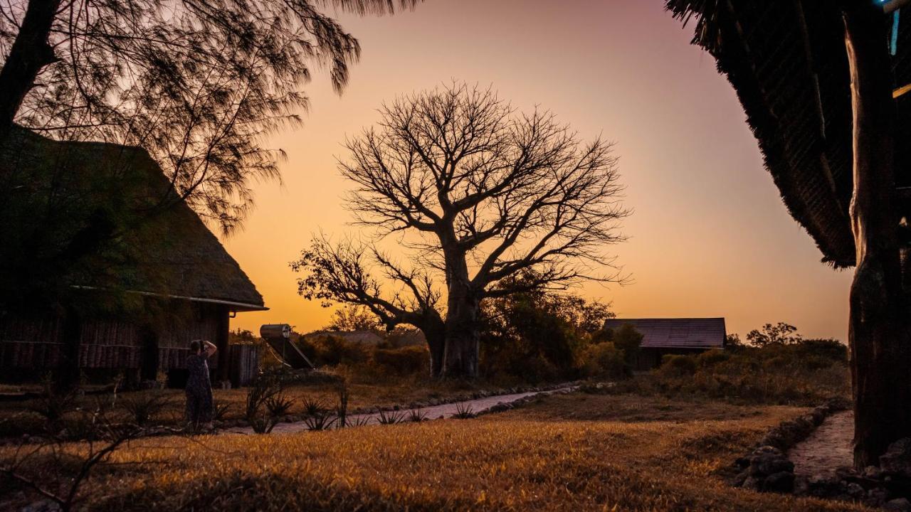 Pemba Eco Lodge Kengeja Buitenkant foto
