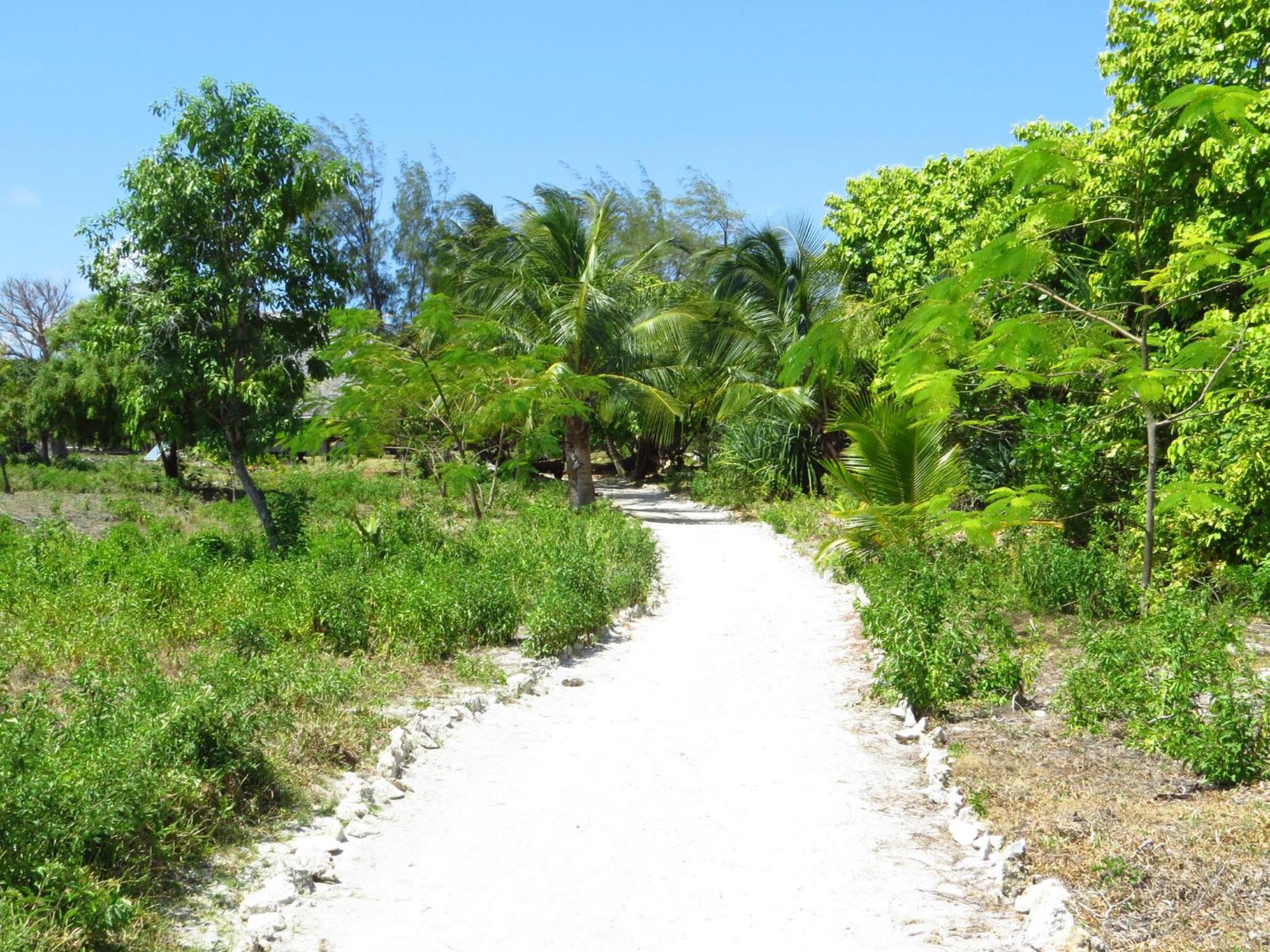 Pemba Eco Lodge Kengeja Buitenkant foto