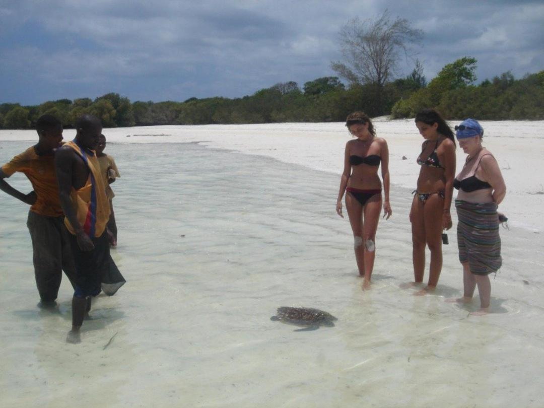 Pemba Eco Lodge Kengeja Buitenkant foto