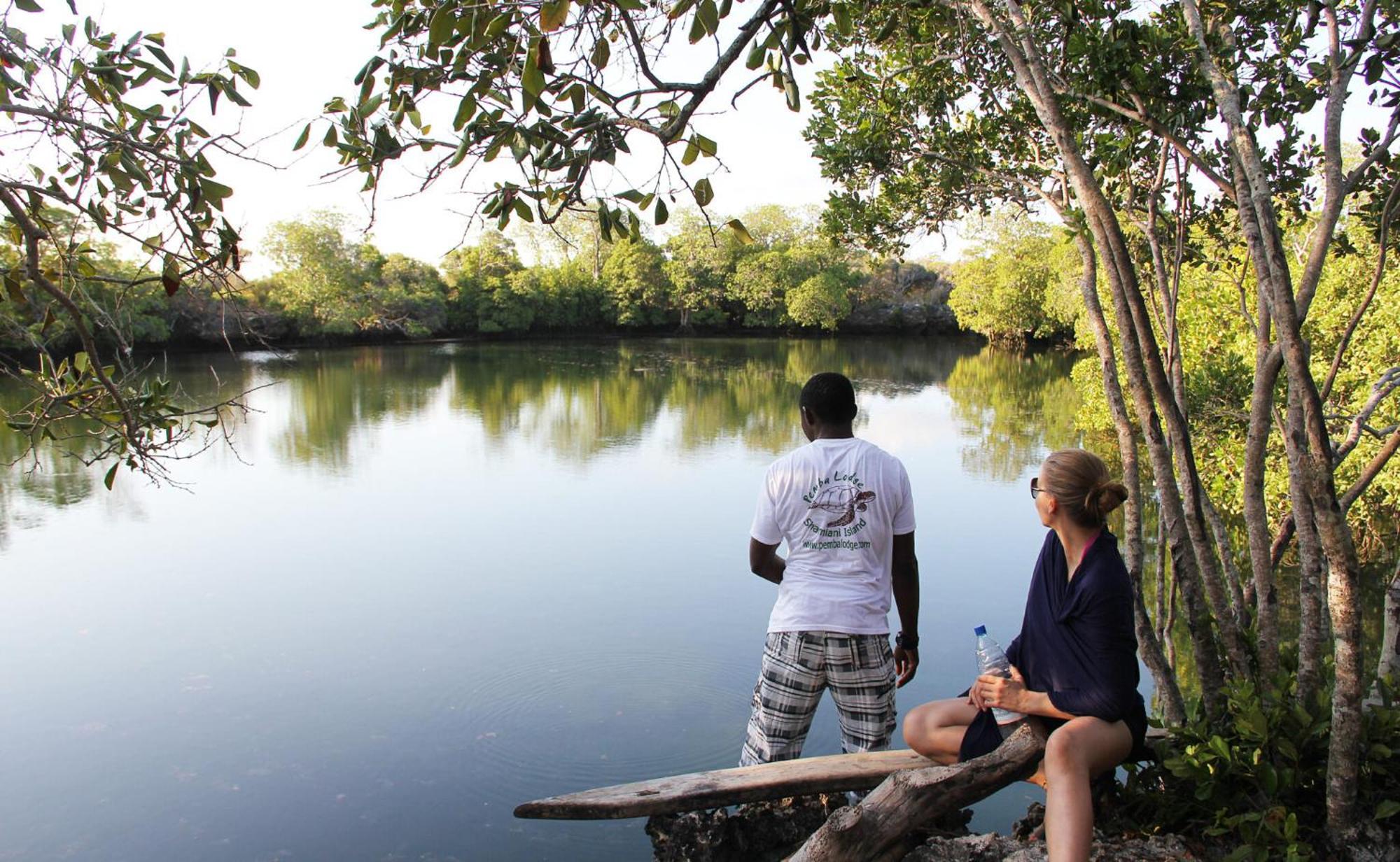 Pemba Eco Lodge Kengeja Buitenkant foto